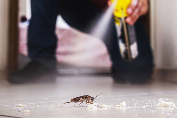 Pest Control for Restaurants in Silver Lake, KS